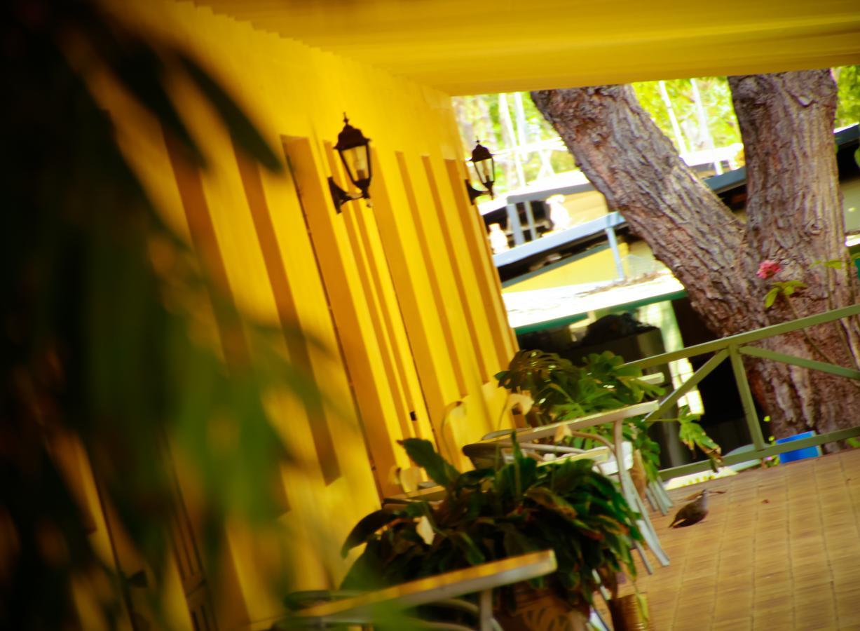 Ravenswood Hotel Екстер'єр фото